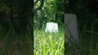 .22 egg plinking slow motion