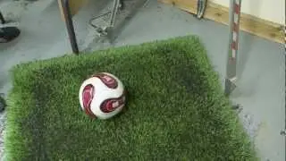 Tiger Turf