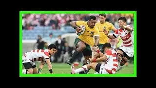 Aussie centres bulldoze japan - Australia - US - Sport News - RugbyOnions & Footballs