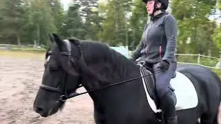 God ridning online 2024 omgång 1, C:0