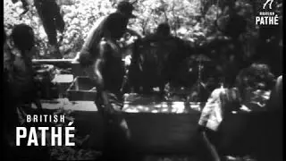 Game Rangers Rescue Animals From Lake Kariba (1959)