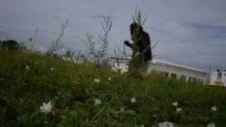 Owned By... (Trailer)