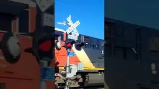Heavy 2-Unit CN Intermodal Train Rumbling Through Plainfield