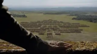Olenna Tyrell Soundtrack (S3-S7)