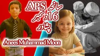 سانحہ 16 دسمبر | APS Peshawar Tragedy | دردناک تقریر | Moon Hassan Speeches