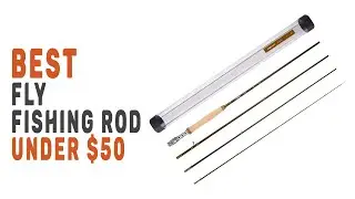 The 5 Best Fly Fishing Rod Under $50 | Buying Guide!