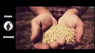 les graines d'h&eacute;ritage, Kokopelli, Monsanto et les graines Hybride F1.