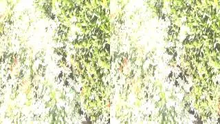 FILE0047