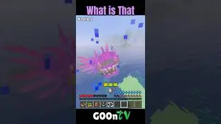 What is That #Minecraft