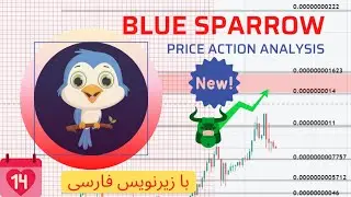 What does Price Action say about the BLUE SPARROW token? an Advice for buyers, sellers and holders..