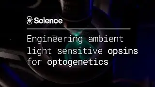 Engineering Ambient Light-Sensitive Opsins for Optogenetics
