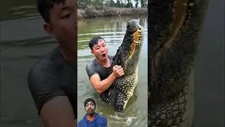 They caught a large crocodile and threw it away 😱...🐊...💀