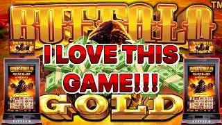 Chasing the Buffalo on *Buffalo Gold Collection*