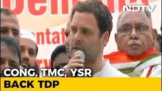 Rahul Gandhi Promises Special Status To Andhra Pradesh If Elected In 2019