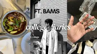 Неделя из жизни студента 1-го курса BAMS (колледж, общежитие, прогулки)
