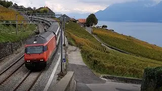 Trains suisses - CFF - SBB - FFS - Lavaux - Saint-Prex - Morges