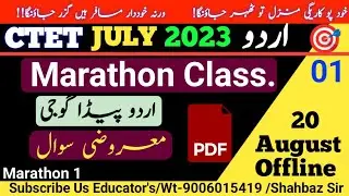 #ctet 20 Aug Urdu Marathon Class 1 | Urdu Pedagogy Que. | PYQ Question Based Class