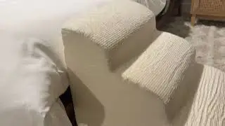 Dog Ramp for couch and bed found on Amazon Review