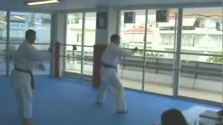 Tatsuo Suzuki exam 4th Dan Wado Karate Dimitris Rachoutis European Karate Champion EKF.flv
