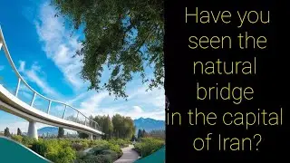 The famous bridge of Tehran (the capital of Iran)🤠