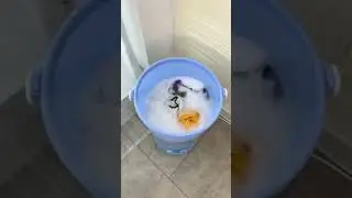 Try This Portable Washing Machine