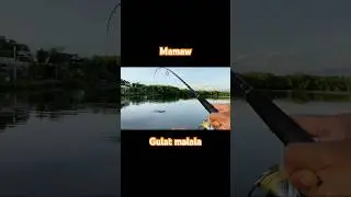MONSTER FISH STRIKE! 😱 Reel Drag SCREAMS | Fishing Philippines