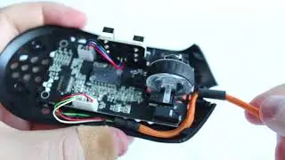 Paraflex Installation - Finalmouse Ultralight Sunset
