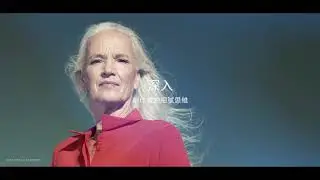 Getty Images - Creative Insight 2019 中文字幕