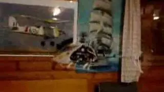 Gaui EP100 Heli-Shop Edition