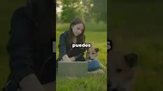 Parques Privados para Perros | Renta Espacios Para Perros | Alquilar Patios Privados Para Perros