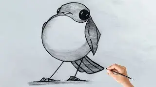 Cute Sparrow Pencil Sketch | Drawing and Time-lapse Video | How to draw a Bird - Sparrow | Beginners