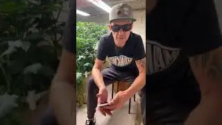 Fermente & Lactobacillus - Teil 2 - Fragen Beantworten 🌱 Sunday Wake &rsquo;n Bake