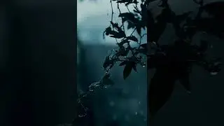 RELAX MODE | Rainfall ASMR for Deep Relaxation #relaxmode #rainfallasmr #asmrrain #rainsounds #rain