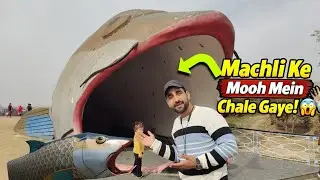 Fish Ke Mooh Mein Chale Gaye! 😱 Jammu Fish Aquarium 🐟