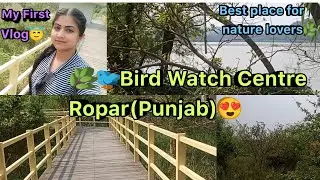 🌿😍Bird Watch Centre at Rupnagar district in Punjab😇|Best place for nature lovers♥️🌿#viralvideo#viral