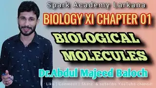 DEFINITION OF BIOLOGICAL MOLECULES || Dr Abdul Majeed Baloch || Spark Academy Larkana