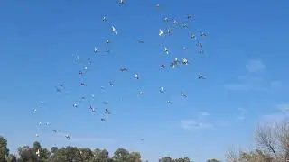 CPL 2025 Sprint 6 Gariep Dam 16 Aug 2025