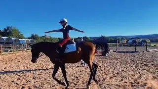 Cantering with no hands on the lunge line!!:)❤️🐴❤️😍🫠