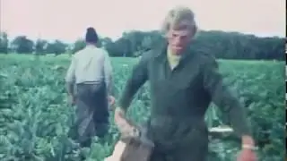 Tuindersbedrijf Botman te Wervershoof door de jaren heen
