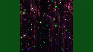 Magic forest
