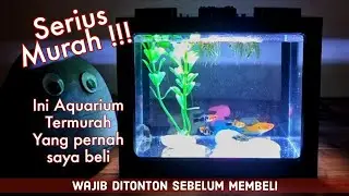 REVIEW AQUARIUM MINI LEGO DENGAN LAMPU LED USB TERMURAH - TIPS MUDAH MENGHIAS & MERAWAT IKAN