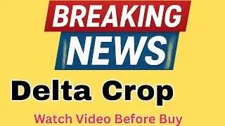 Delta Corp Share Latest News Today| Delta Corp Breaking News Today|Delta Corp Share Price Analysis