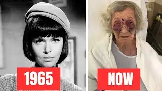 GET SMART 1965&ndash;1970 Cast THEN and Now l All Cast Passed Away Tragically!!
