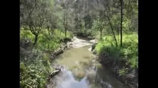 Yarran Dheran Reserve (Mitcham)