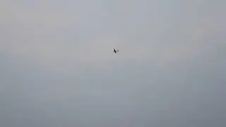 Christen Eagle Biplane telah lahir