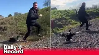 Scots dad chased by Duck around loch in viral TikTok video