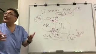 Immune Checkpoint Inhibitors