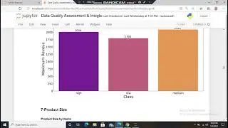 Data Quality Assessment & Insigts using Python