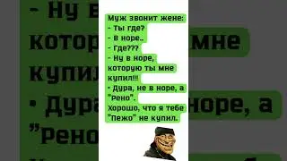 В Норе #юмор #шуточное #анекдоты #смешновидео #мем #смешнойшортс #прикол