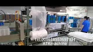PAPER TUBE PACKAGING MACHINE IN FULLY AUTOMATIC